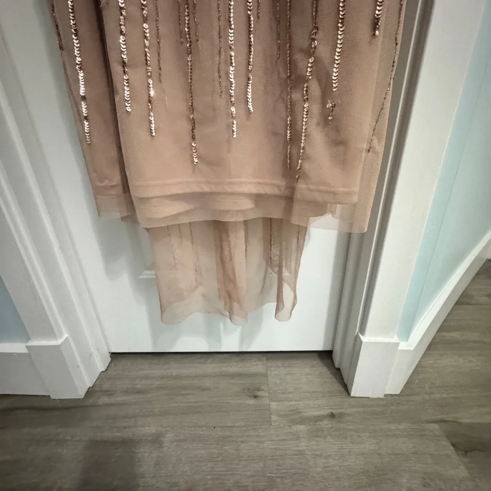 Adrianna Papell Size 14 Rose/blush sequins - Picture 2 of 10